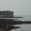 다뽑아가라 이미지