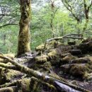 구름동산 이미지