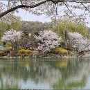 (주)이천설봉온천 이미지