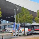 정승오 | 부산국제영화제 2025 6일 차_<아코디언 도어> <철들 무렵> <관찰자의 일지> 후기