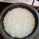 밥이좋은날 | 안동 백진주쌀 압력돌솥 후기 : 밥이 다르다는 말, 진짜였다