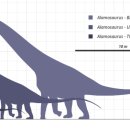 알라모사우루스 이미지