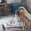 착한안경콘택트 이미지