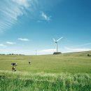 라 비 채 이미지