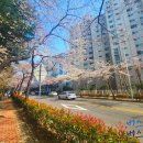 남산로지선 이미지