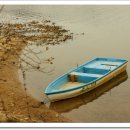 머리풍경 이미지