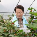 산딸기 - 김해시 번화1로68번길 19 | 산딸기