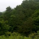 귀선농장 이미지