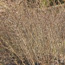 명자농장 이미지