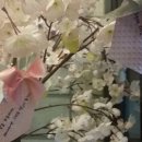 S성형외과의원 이미지