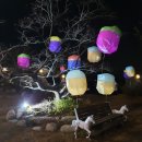 청사초롱 이미지