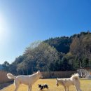 보리네민박 이미지