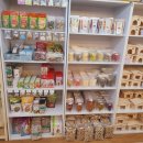 미니펫스토리 이미지