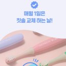 아기 치약 뭐 쓰세요? 20개월 아기도 편했던 더트웰브 무불소치약 후기