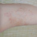 흰토끼의원 이미지