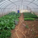 상신2리 이미지