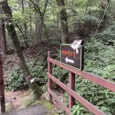 대전워싱 이미지