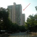 분당-307 이미지