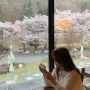 연리지민박 - 울주군 해맞이로 895-42 | 전남 담양 감성 숙소 _까망감스테이 (Camanggstay)