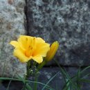 장안공원 이미지