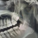 신 사랑치과의원 이미지