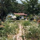 배나무실의 아침 이미지