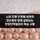 노화 진행 단계별 체계적 접근법과 함께 살펴보는 한방단백질관리 핵심 사항