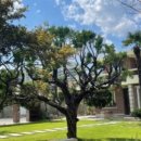 카페 담 이미지