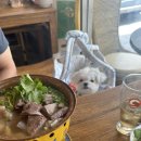 라오삐약 이미지