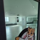 장성 아이원 태권도장 이미지