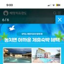 완도파인비치호텔 이미지