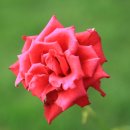 산북정원 이미지