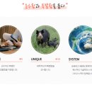 영유통 이미지