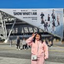 율이네식당 | 2025 아이브 월드투어 콘서트 후기 (+공포50장넘게 획득)