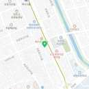 대광어페럴