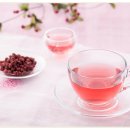 대안 행정사사무소 이미지