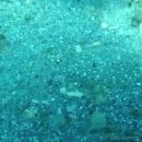 연세그린치과의원 이미지