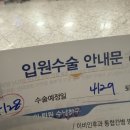 여주-0414 | 요즘 올크크가 더 많긴 함..