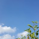 청명약국 이미지