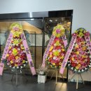 메디약국 이미지