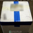 룡수산 | 통영 굴 택배 가격괜찮고 실하고 알찬 룡수산 후기