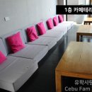 홍길동 당구장 | [2019] 세부 EV어학원 탐방후기 new. from 유학사랑