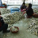 영광 법성리 일본식여관 이미지