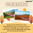 따오기품은 세진마을 이미지