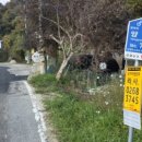 여주-0268 이미지