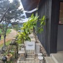 GR(괴산군)-[충민로]-하-5 | [괴산] 뭐하농 하우스 🌱🏠 만족스러워서 남겨보는 방문 후기 (반려동물 동반가능)