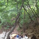 맑은물소리펜션 이미지