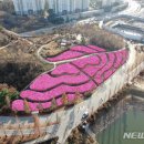 철쭉동산 이미지