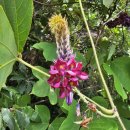 미인만들기 이미지