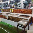 골드수산
